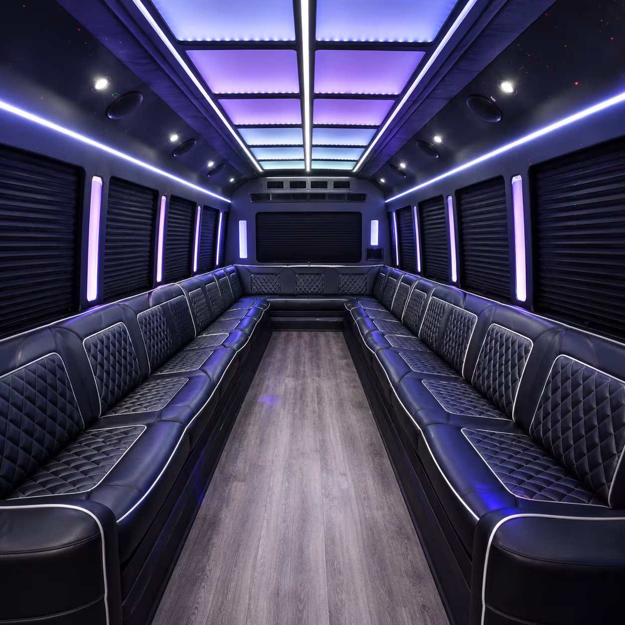 20 Passenger Party Bus Inside