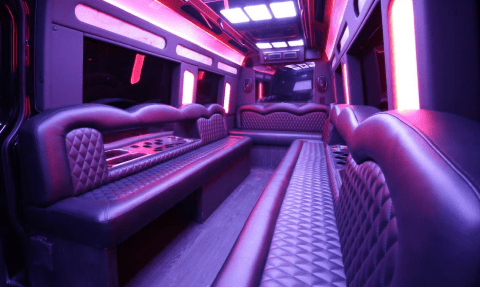 Bend 14 Passenger Sprinter Bus Interior