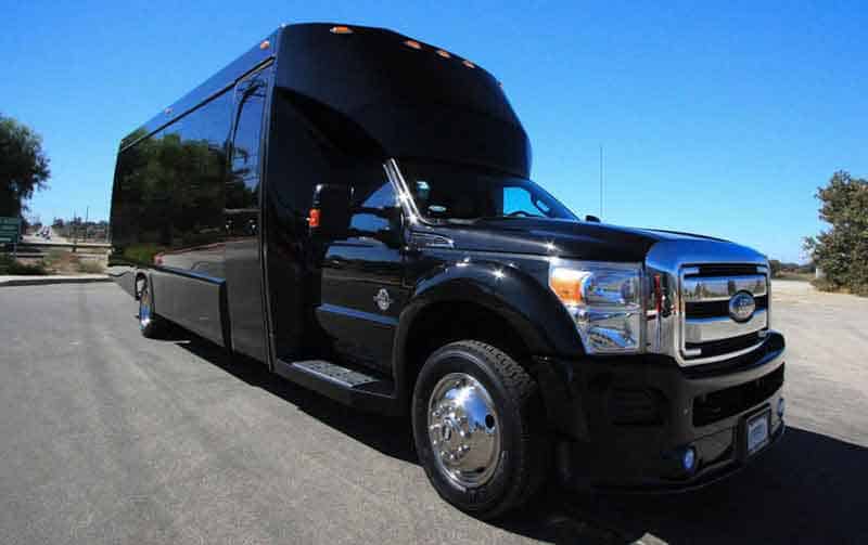 Albany 30 Passenger Party Bus Black